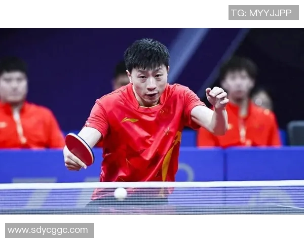 实时新闻深圳乒乓球队状态分析与表现评估探讨及未来发展方向研究